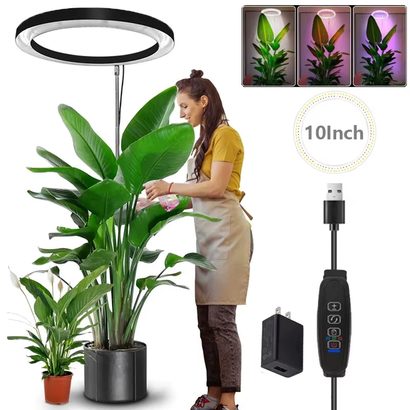165Cm Height Adjustable LED Ring Grow Lights Indoor Plants Full Spectrum Large Plant Light for Indoor Plants USB Growing Lamp