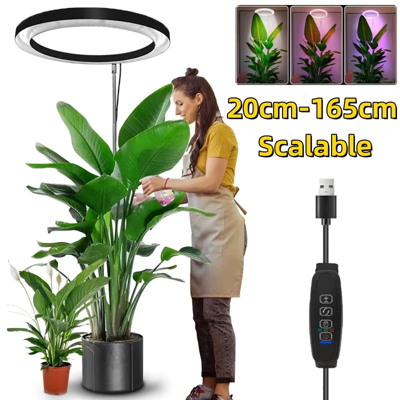 165Cm Height Adjustable LED Ring Grow Lights Indoor Plants Full Spectrum Large Plant Light for Indoor Plants USB Growing Lamp